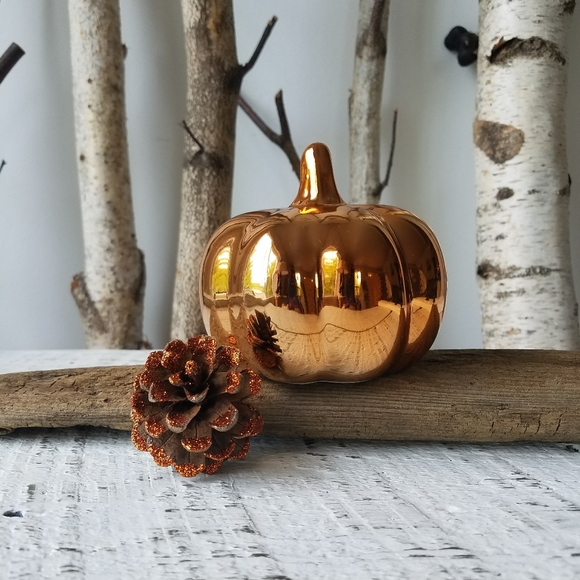 Meet your Posher, Chelsea - Picture 4 of 12